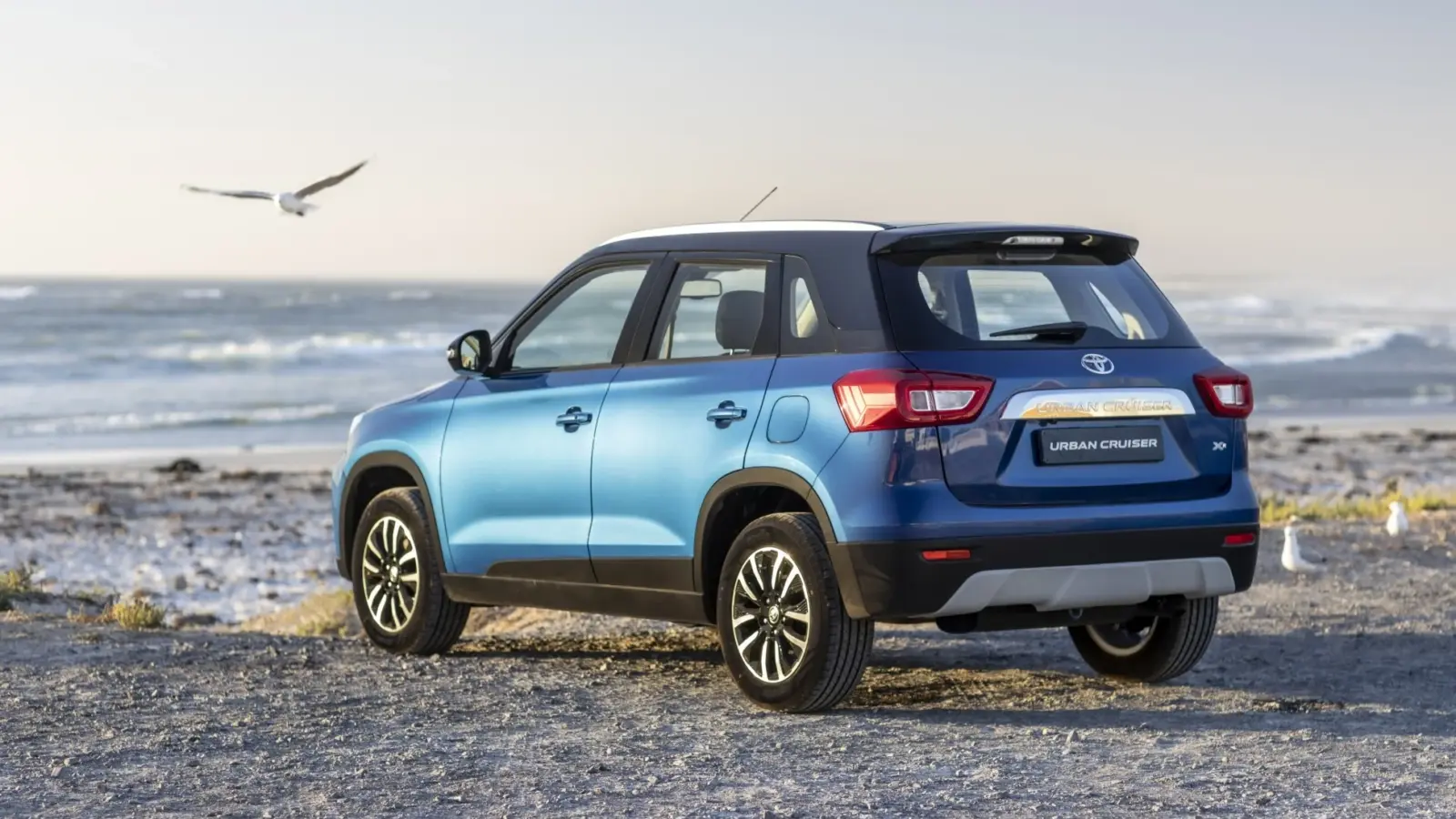 Toyota Urban Cruiser Is A New Addition To The SA Market