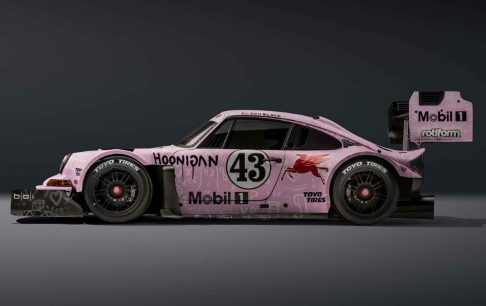 Hoonipigasus Porsche profile