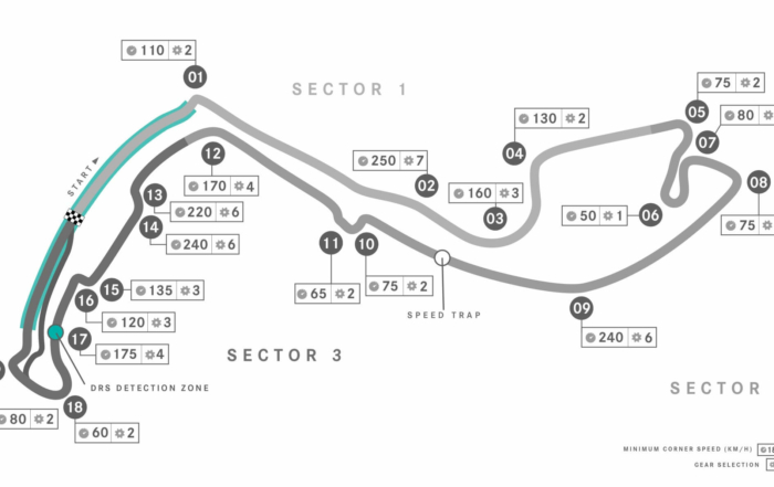 Monaco F1 GP (3)