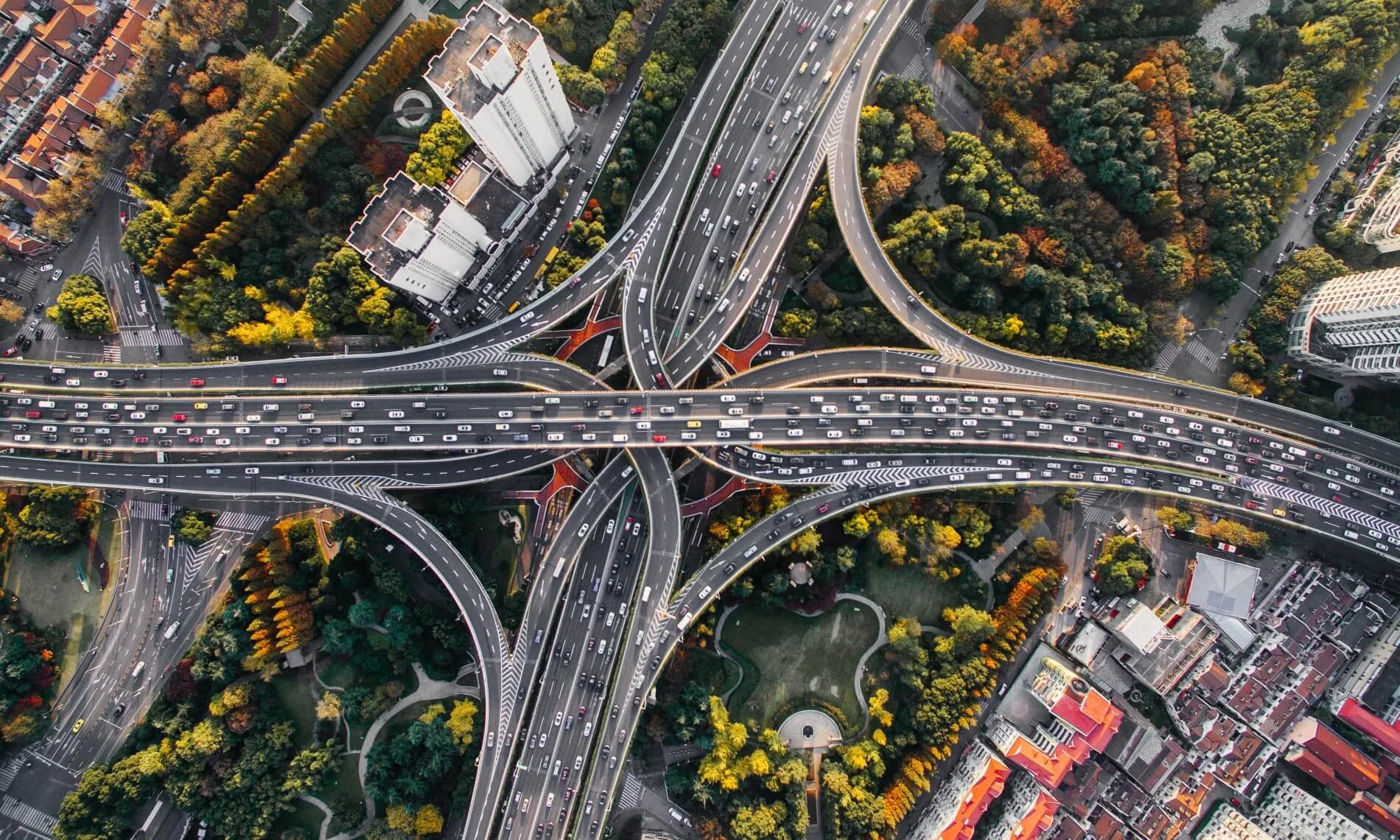 Road safety tips (Deny Nevozhai - Unsplash)
