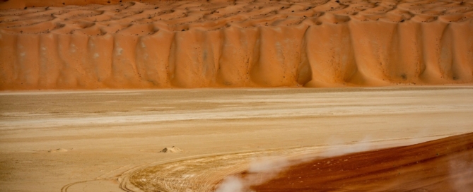 Dakar Driver Facts