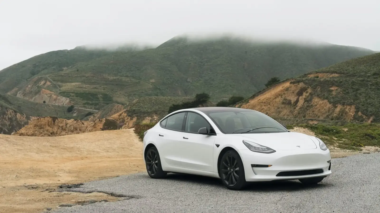 Can You Play Online Casino Games in a Tesla?
