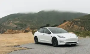 Can You Play Online Casino Games in a Tesla?