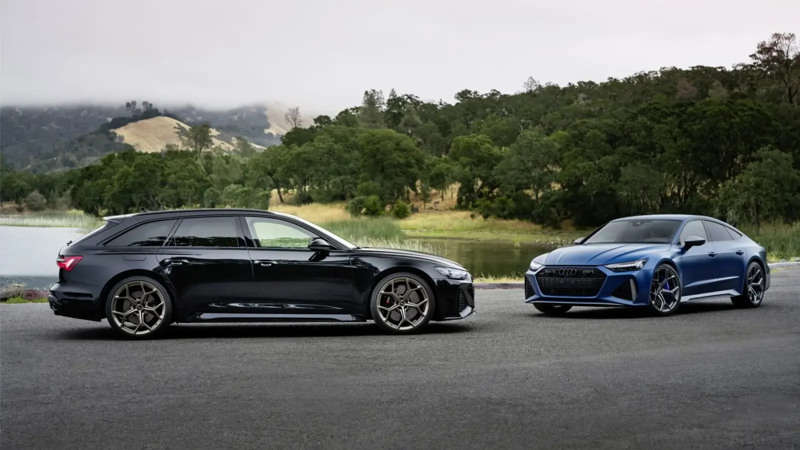 Audi RS6 Avant and RS7 Performance Twins Blast Into SA