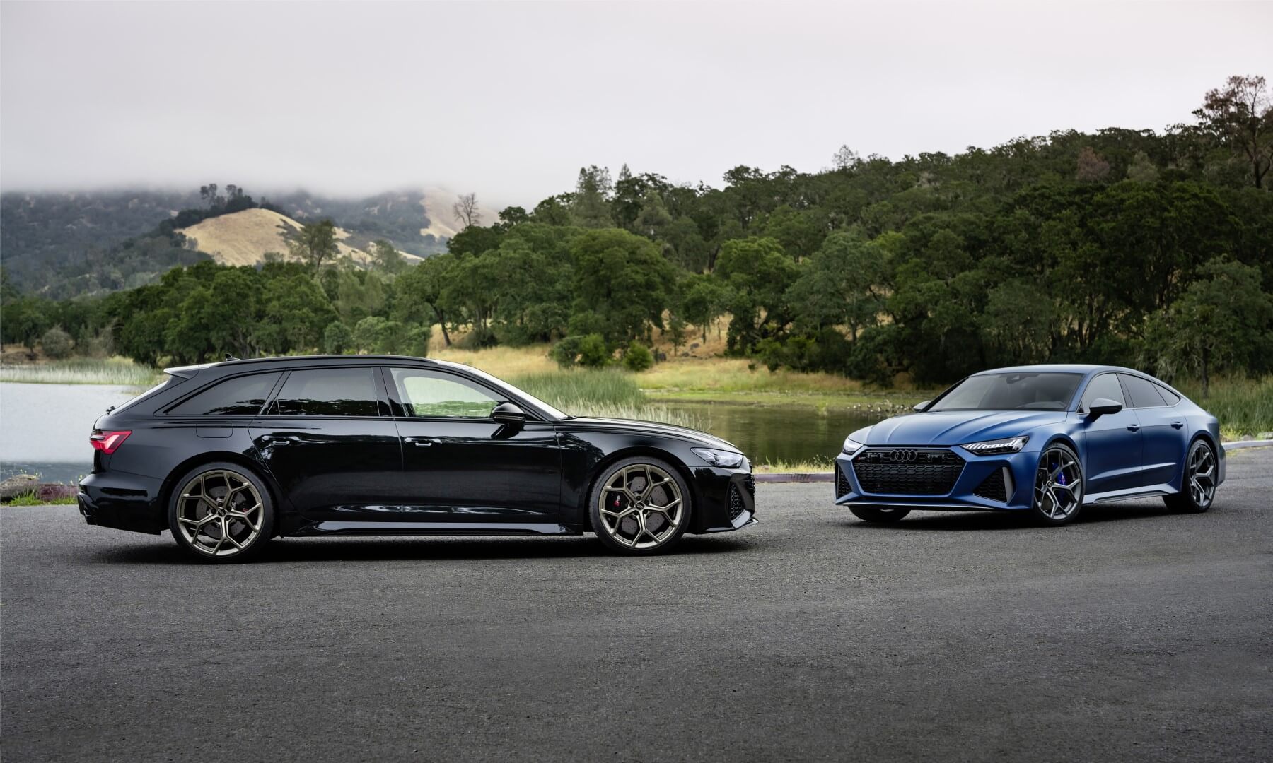 RS6 Avant and RS7 Performance