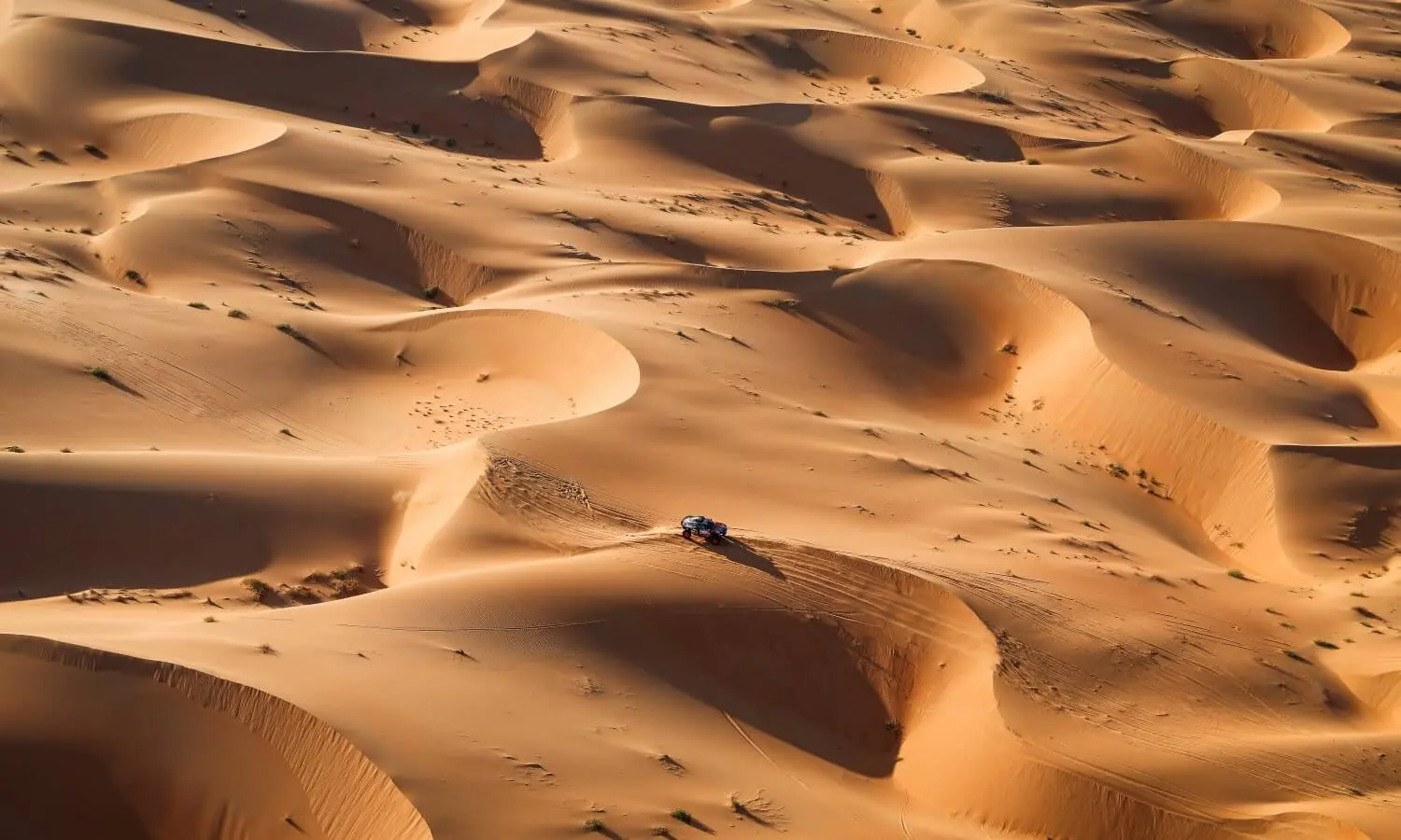 Allure of the Dakar