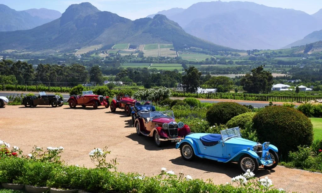 In the Cape winelands