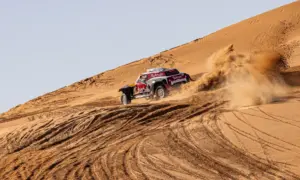 2020 Dakar Stage 11 [w/video]