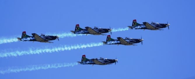 The Silver Falcons provided a spectacle between the on-track action.