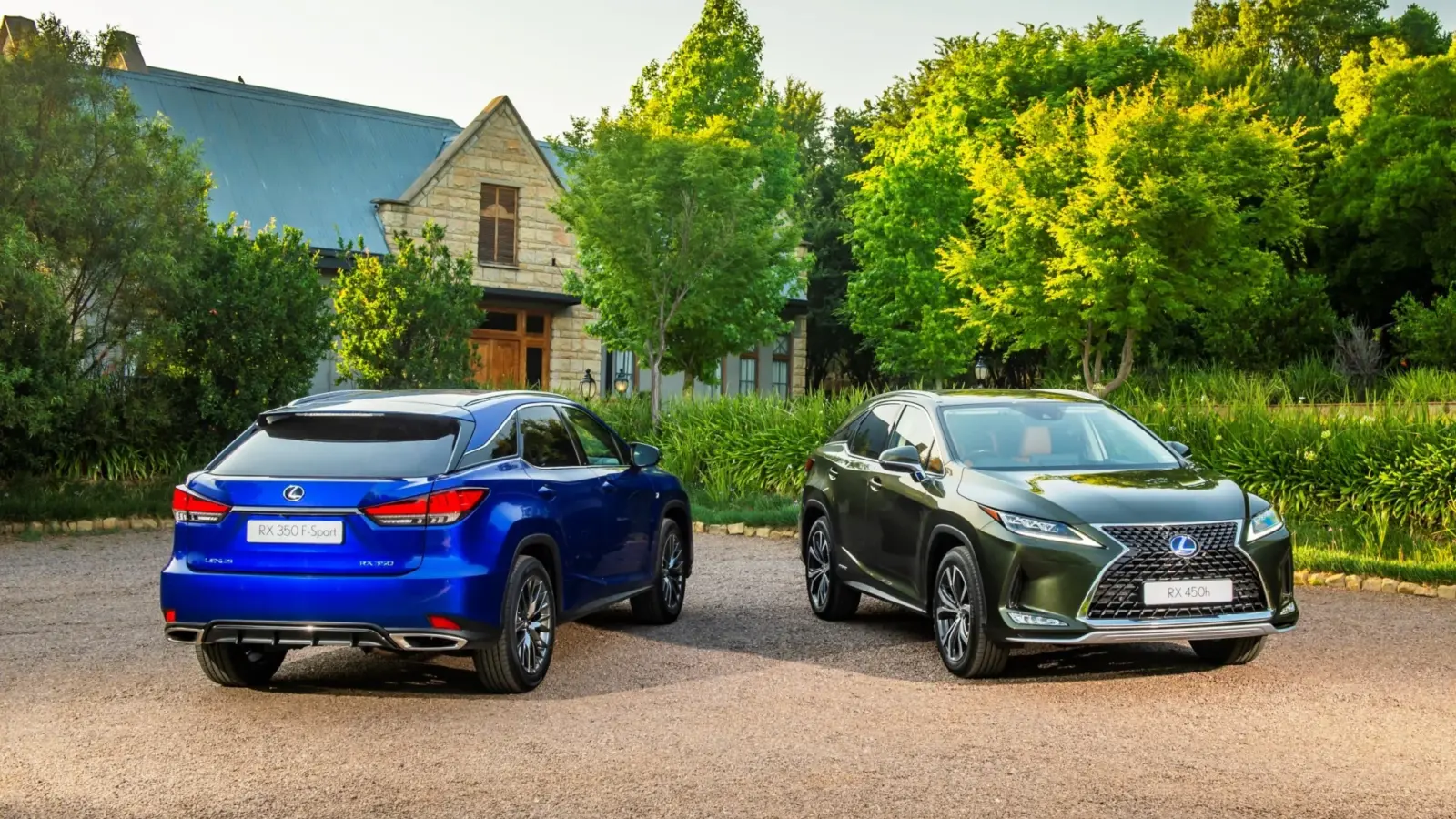 Updated Lexus RX range